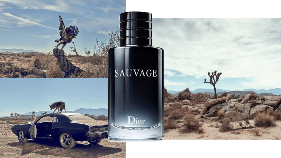 Lịch sử nước hoa Dior Sauvage